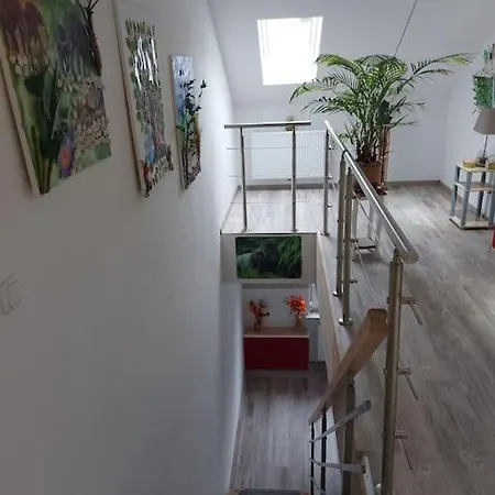 Apartamento Lindo Appartamento *
